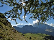 21 Salendo sul 217 sguardo indietro ai pascoli del Monte Campo